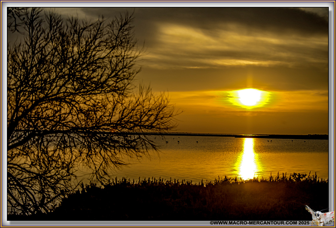 Lever de soleil