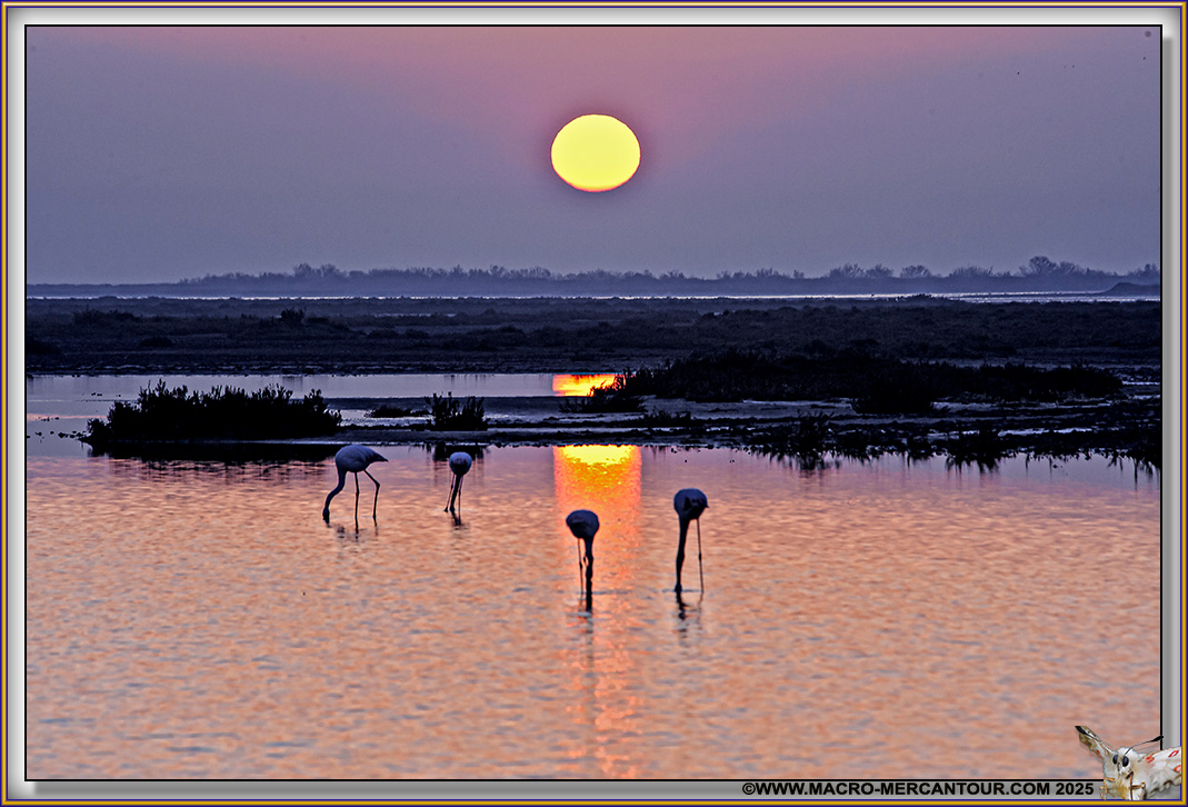 Lever de soleil