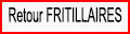 Retour Fritillaires