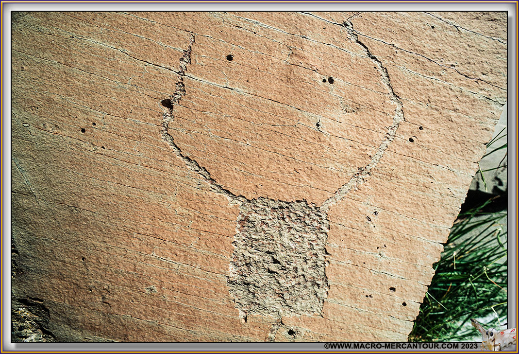 Gravures rupestres du Mont Bego